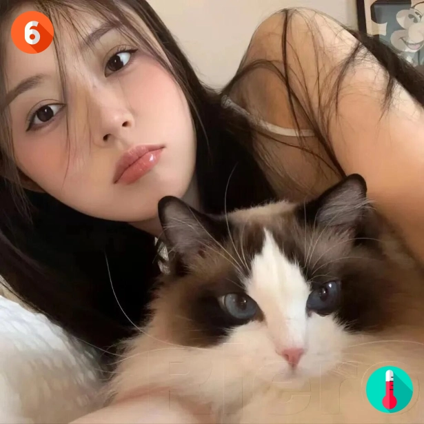黄先生